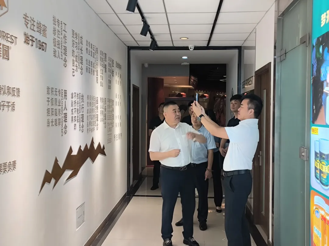 六合资面料大全