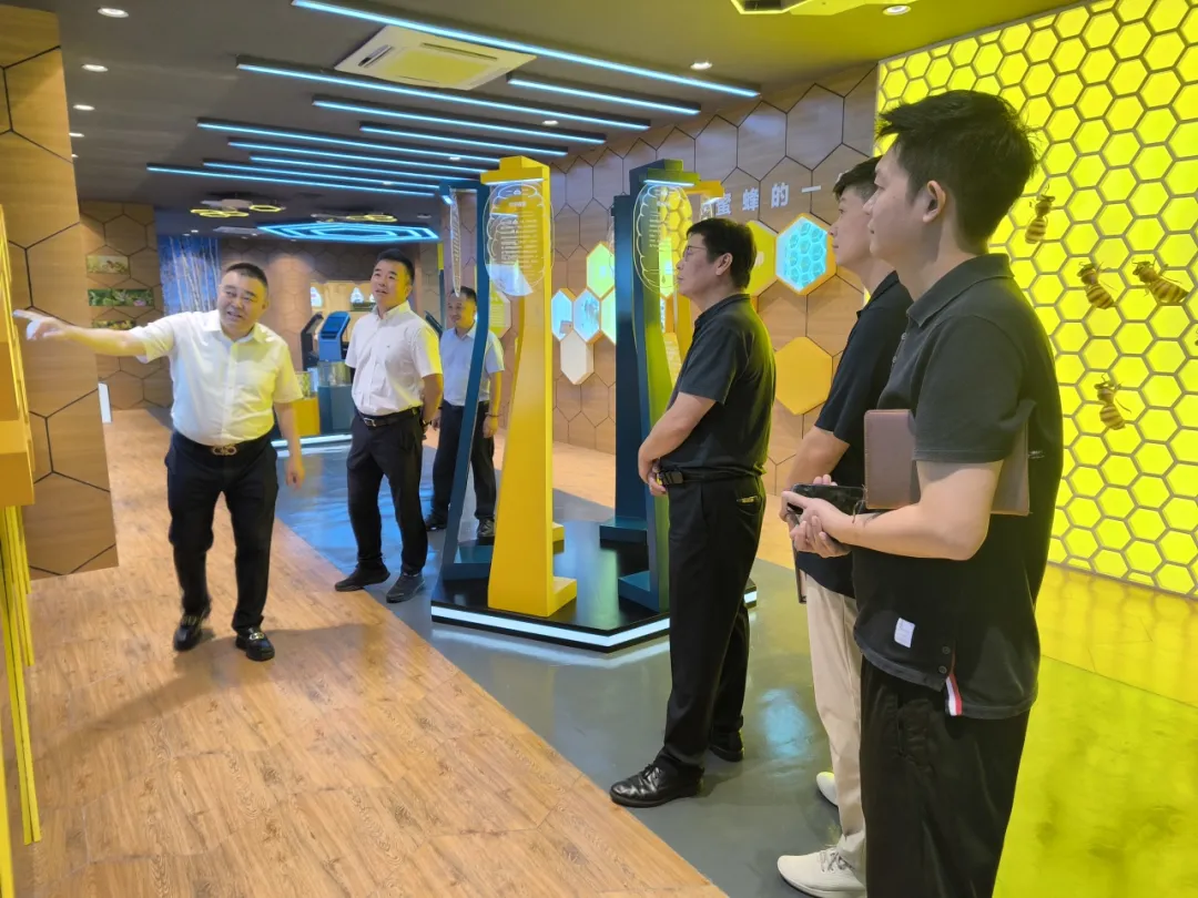 六合资面料大全